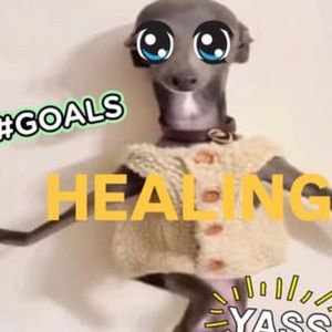 Meet your Posher, Ana